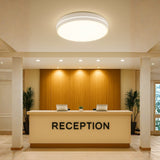 LÁMPARA DE TECHO LUCIANA LED WHITE 30W + CONTROL REMOTO