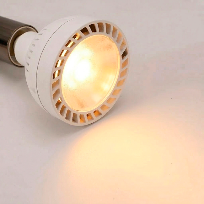 FOCO PAR30 20W LUZ CÁLIDA MARCA ADS