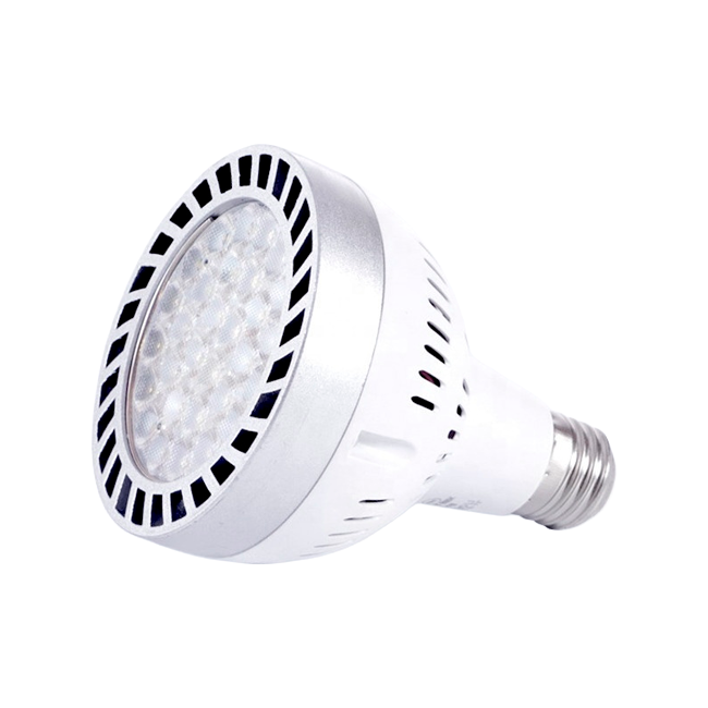 FOCO PAR30 20W LUZ INTERMEDIA ADS