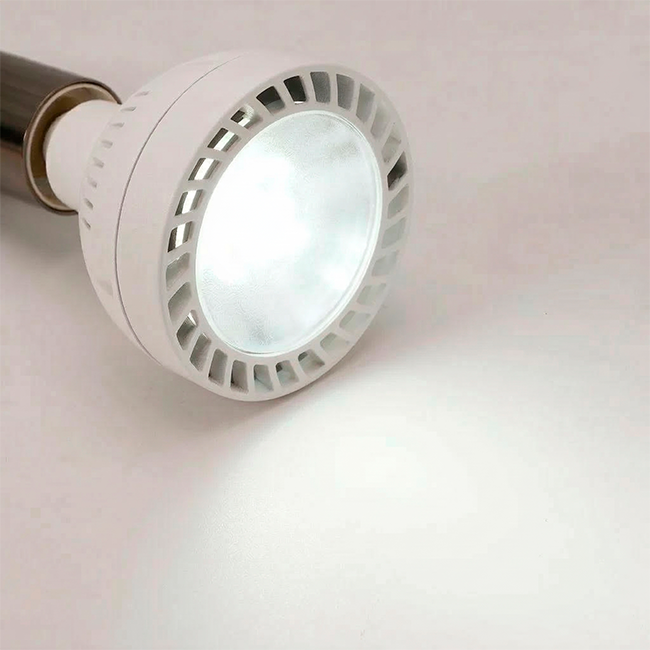 FOCO PAR30 20W LUZ INTERMEDIA ADS