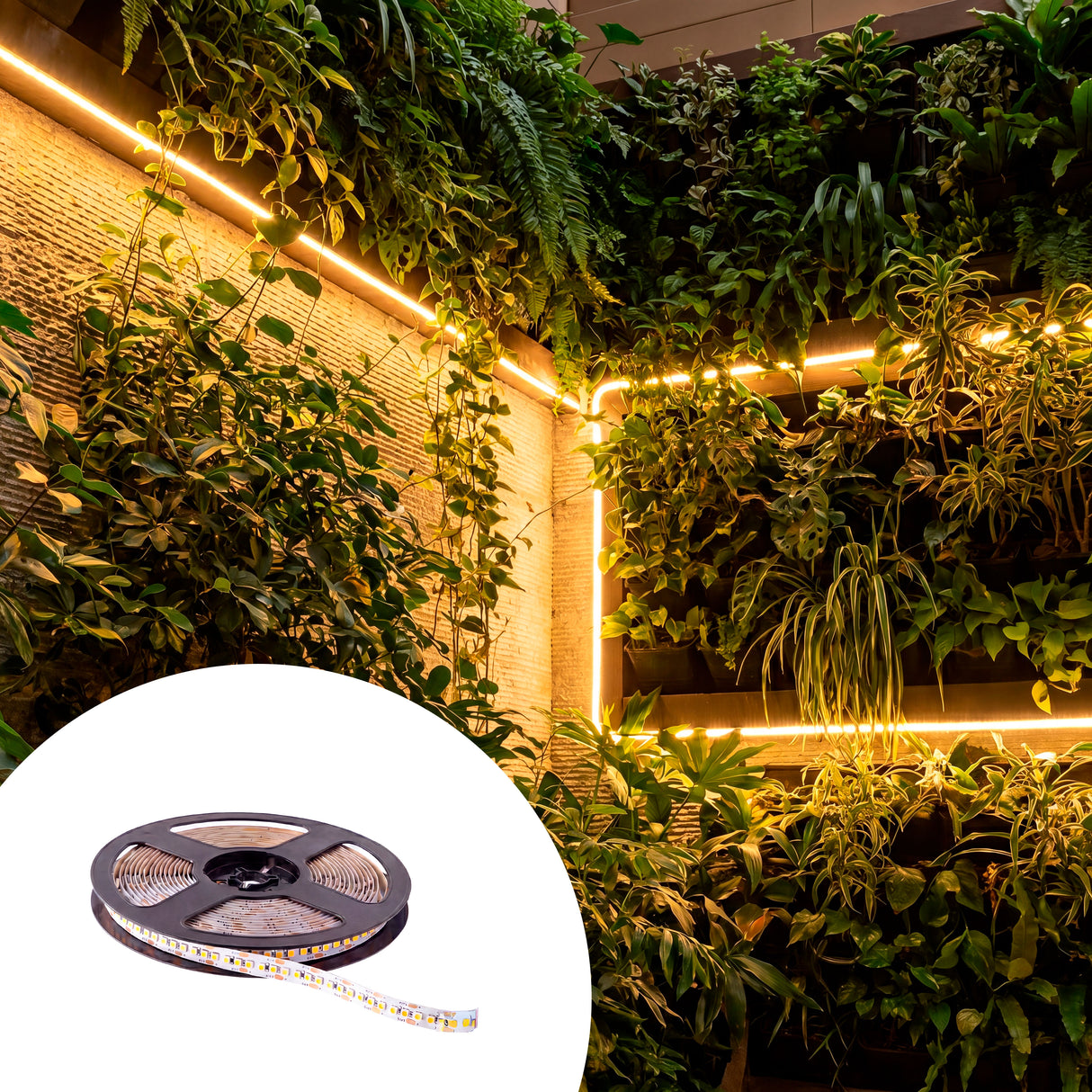 CINTA LED FLEX 100W LUZ CÁLIDA 2700K SMD5050 - 5MTS MARCA ILUMINA