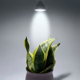 DICROICO LED 8W GU5.3 ILUMINA 6500K LUZ BLANCA