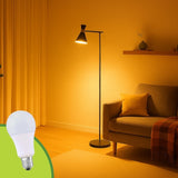 LÁMPARA DE PIE PRUNE BLACK AND GOLD LED + FOCO LED 12W LUZ CÁLIDA