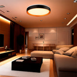 LÁMPARA DE TECHO CLAUDIA LED BLACK AND GOLD 30W + CONTROL REMOTO