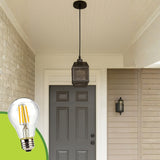 LÁMPARA COLGANTE ALUMINIO PAZ BLACK AND GOLD + FOCO LED TRANSPARENTE A60 4W LUZ CÁLIDA