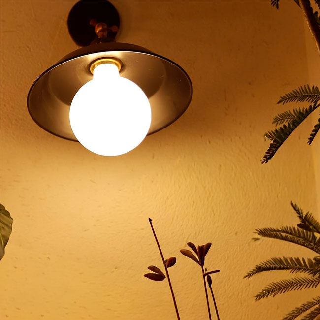 FOCO LED G80 PAVONADO 8W LUZ CÁLIDA