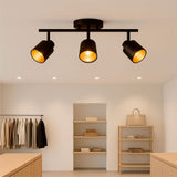 LÁMPARA DE TECHO GRACIELA BLACK AND GOLD - SIN FOCO