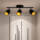 LÁMPARA DE TECHO GRACIELA BLACK AND GOLD - SIN FOCO