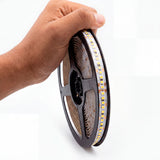 Mano sujetando bobina de tira flexible para proyectos de diseño minimalista e iluminación arquitectónica.