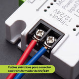 Entrada de alimentación 12V 24V del controlador de 500W con cables de conexión rojo y azul