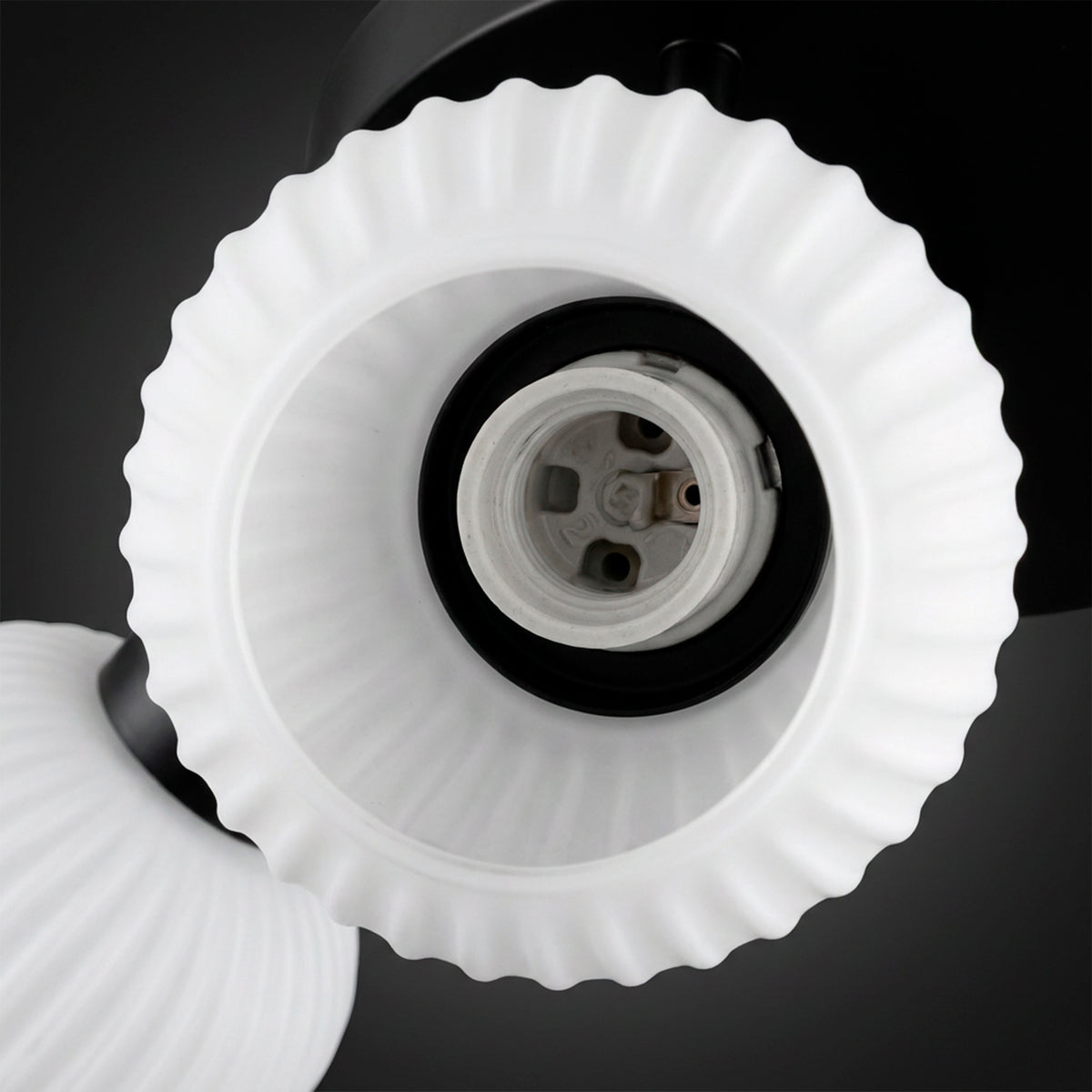 Vista cóncava interior de tulipa de vidrio mate con casquillo técnico para óptima reflexión.