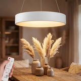 Composición de diseño con lámpara circular blanca y elementos orgánicos de decoración.