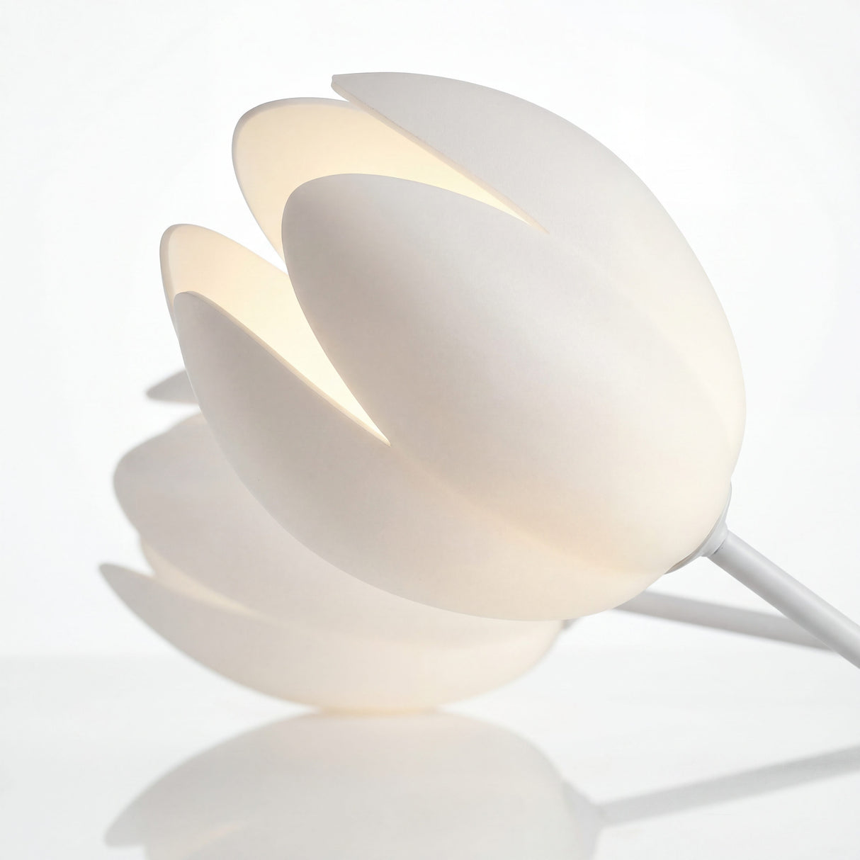 Detalle de pantalla en forma de petalo de lampara tulipa bloom iluminada con luz calida