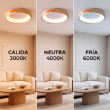 Demostración de temperatura de color de flujo luminoso regulable mediante control a distancia.