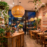 Ambiente acogedor en cafetería con plantas y lámparas de fibra natural Betania.