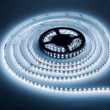 Tira flexible encendida en luz blanca con difusión continua homogénea sobre fondo gris oscuro.