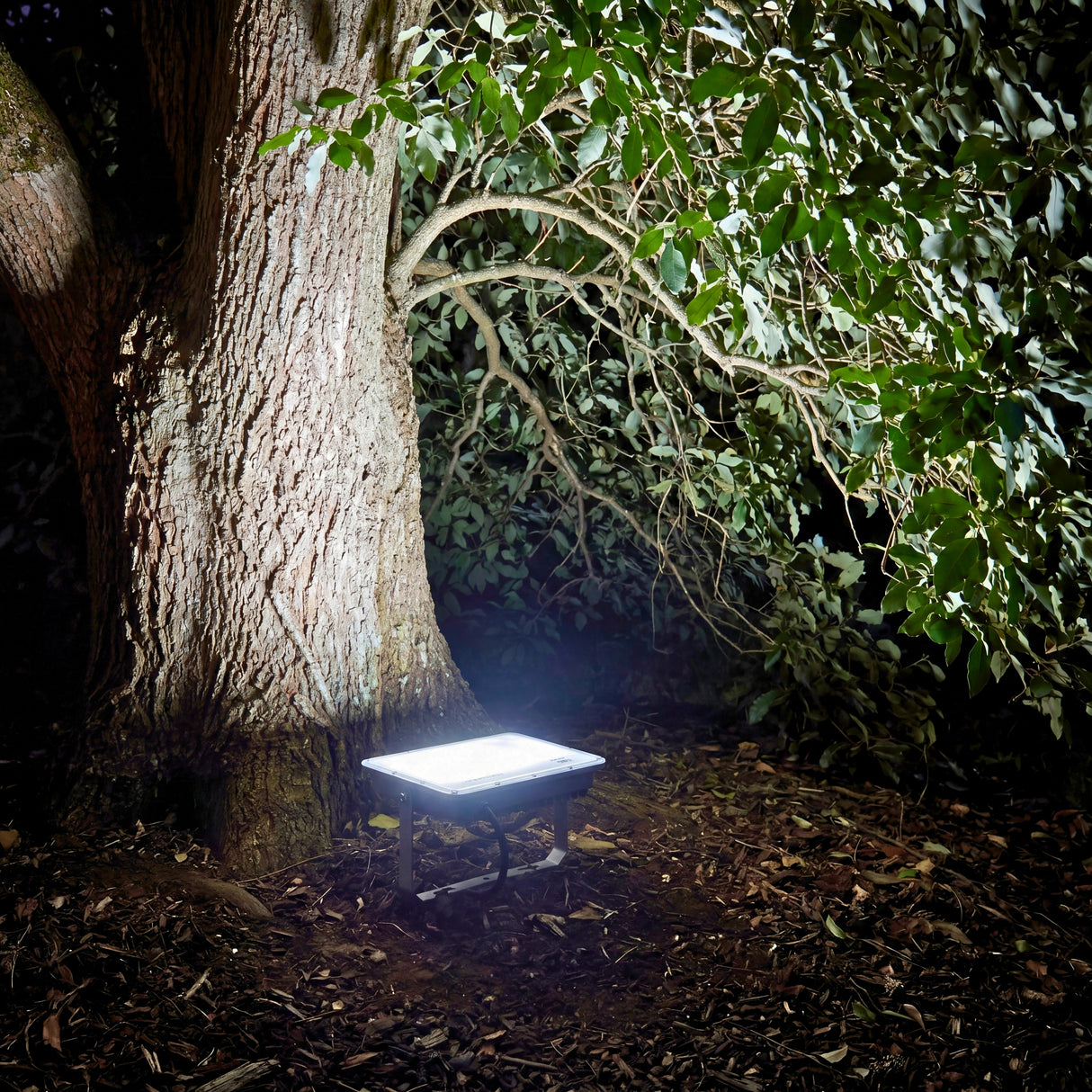Luminaria empotrada en suelo proyectando luz ascendente hacia la copa de un árbol en un jardín.