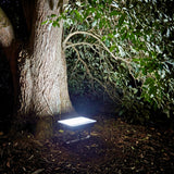 Luminaria empotrada en suelo proyectando luz ascendente hacia la copa de un árbol en un jardín.