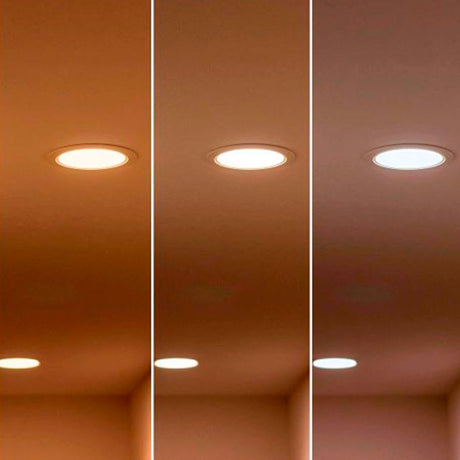 Comparativa de temperaturas de color: luz cálida, neutra y fría en un mismo panel LED.