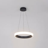 Cuerpo circular gris en suspensión con cables de acero ajustables y diseño técnico.