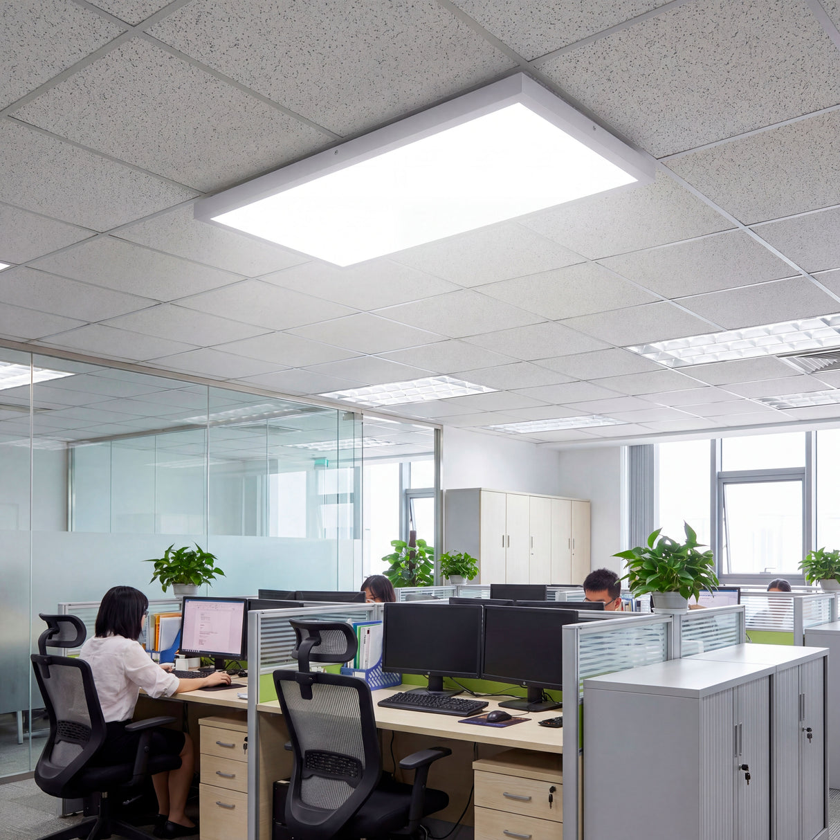 Panel LED rectangular de 36W en techo técnico de oficina con estaciones de trabajo.