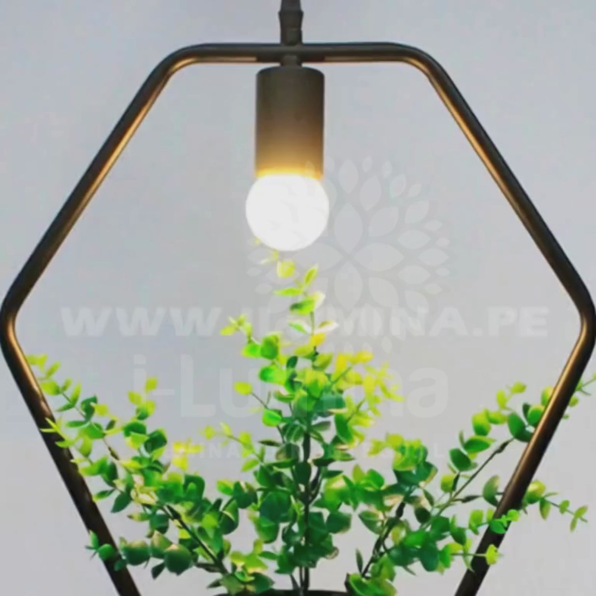 LÁMPARA COLGANTE AMELIA BLACK GARDEN + FOCO LED G80 PAVONADO 10W TRICOLOR