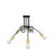 LÁMPARA DE TECHO LUANA 5 BLACK AND GOLD + FOCO LED G95 PAVONADO 10W ILUMINA TRICOLOR