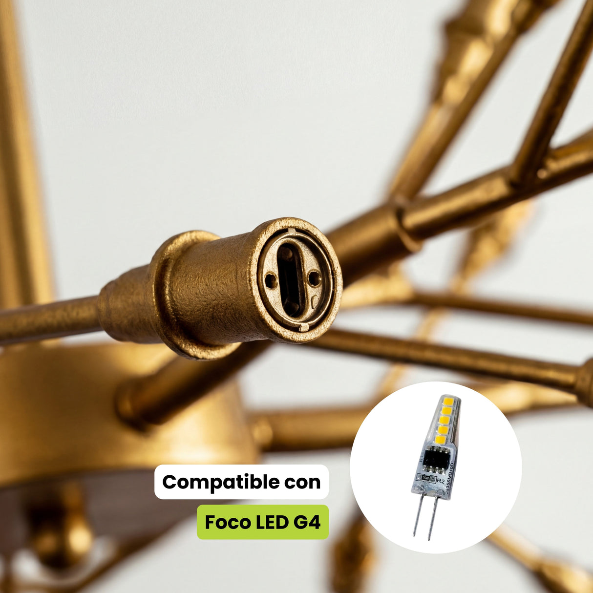 Detalle del socket G4 en acabado oro compatible con focos LED ahorradores.