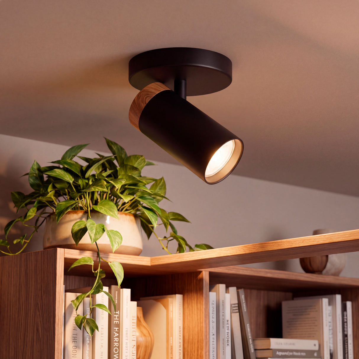 Spot de techo negro con madera iluminando ambiente con plantas