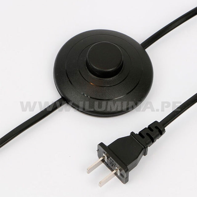 Detalle de interruptor de pie y enchufe tipo A para conexión eléctrica segura.